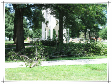 Storm Damage in Town
