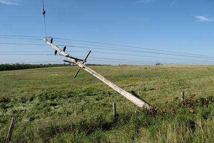 Summer Storm Damage