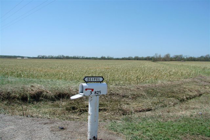 Summer Storm Damage