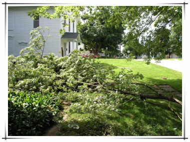 Storm Damage in Town