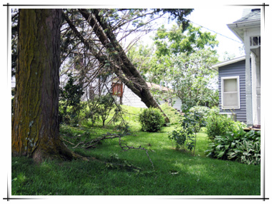 Storm Damage in Town