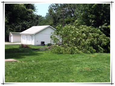 Storm Damage in Town