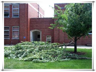 Storm Damage in Town