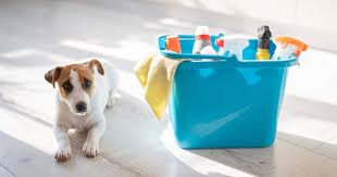 Household cleaners and pets