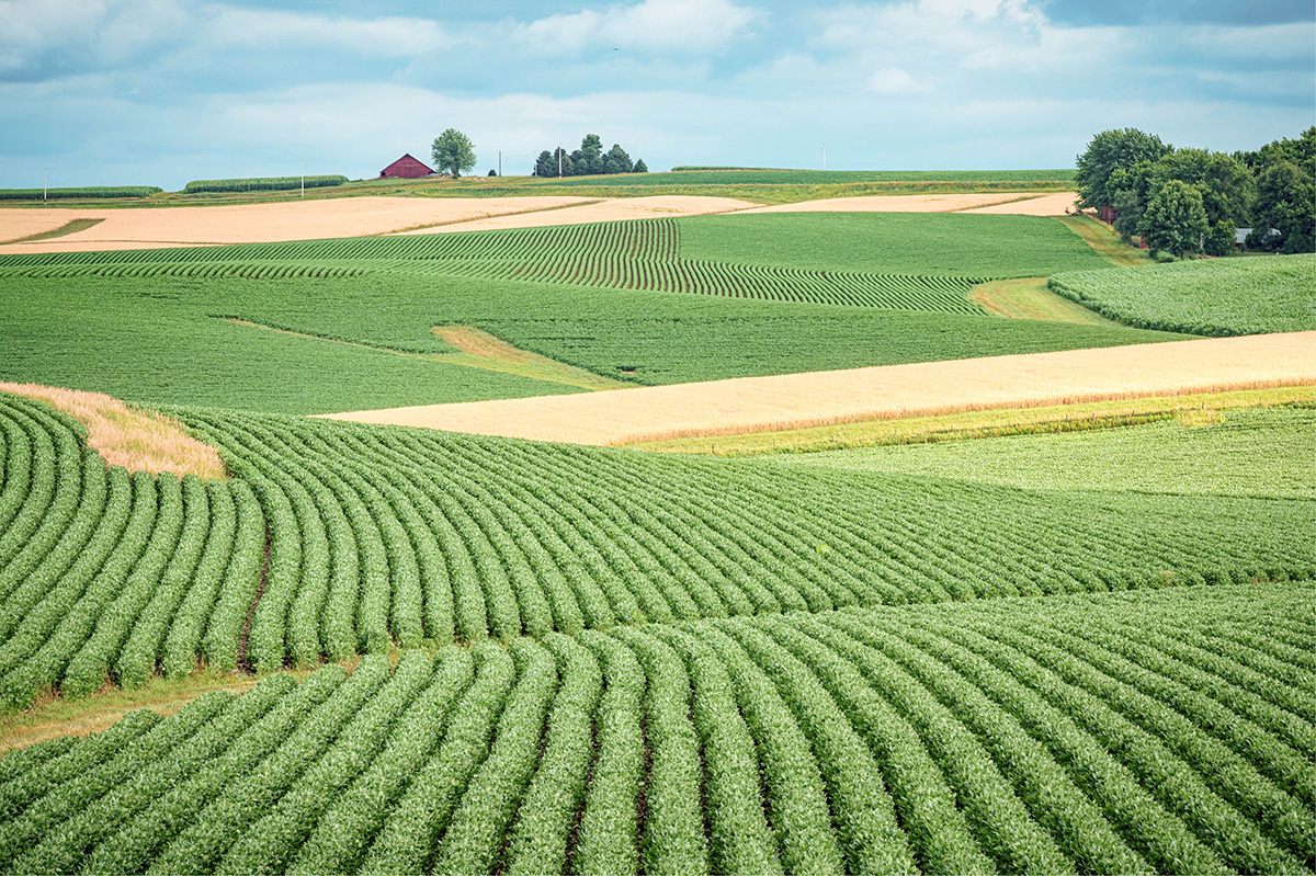 Iowa farm land 