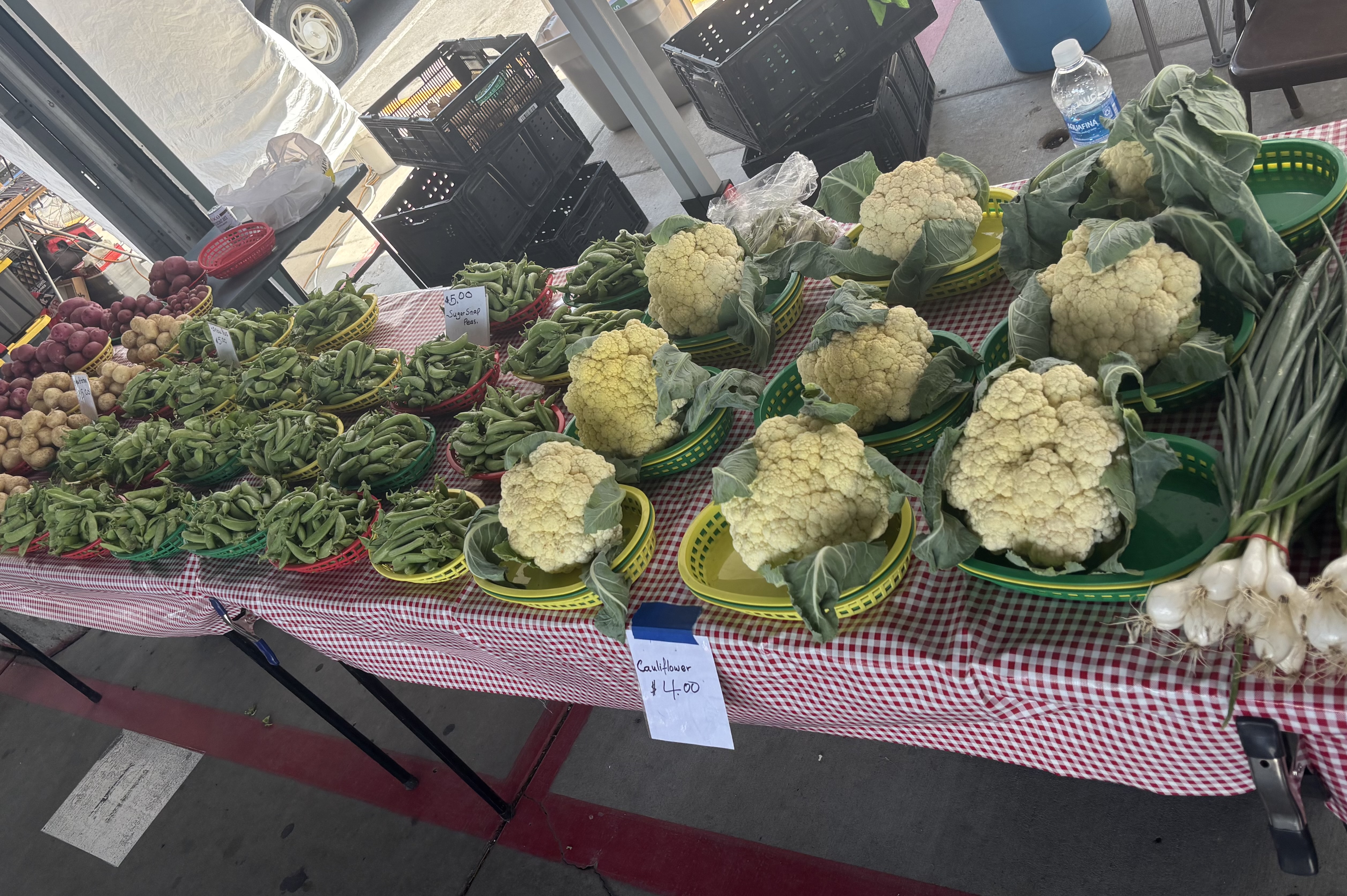 Pony Express Farmers Market 